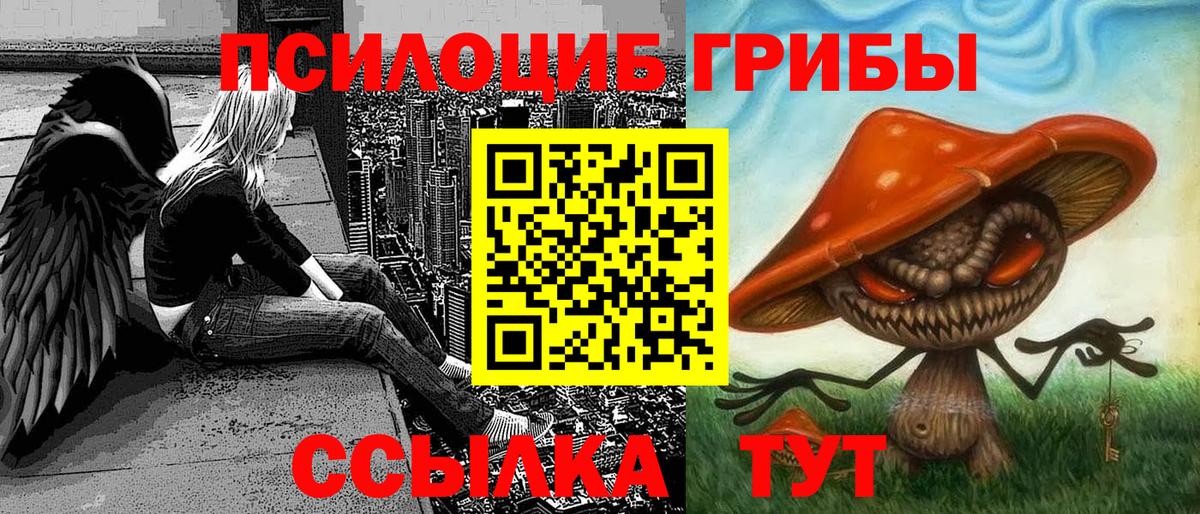 Псилоцибиновые грибы мицелий Белгород